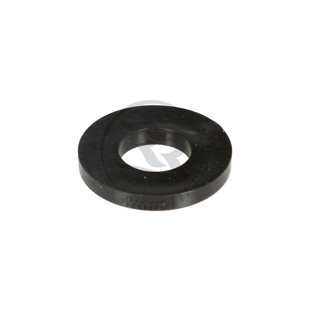 Nylon Washer D.22mm, Hole 10mm, h.3mm, Silver Colour Righetti e Ridolfi