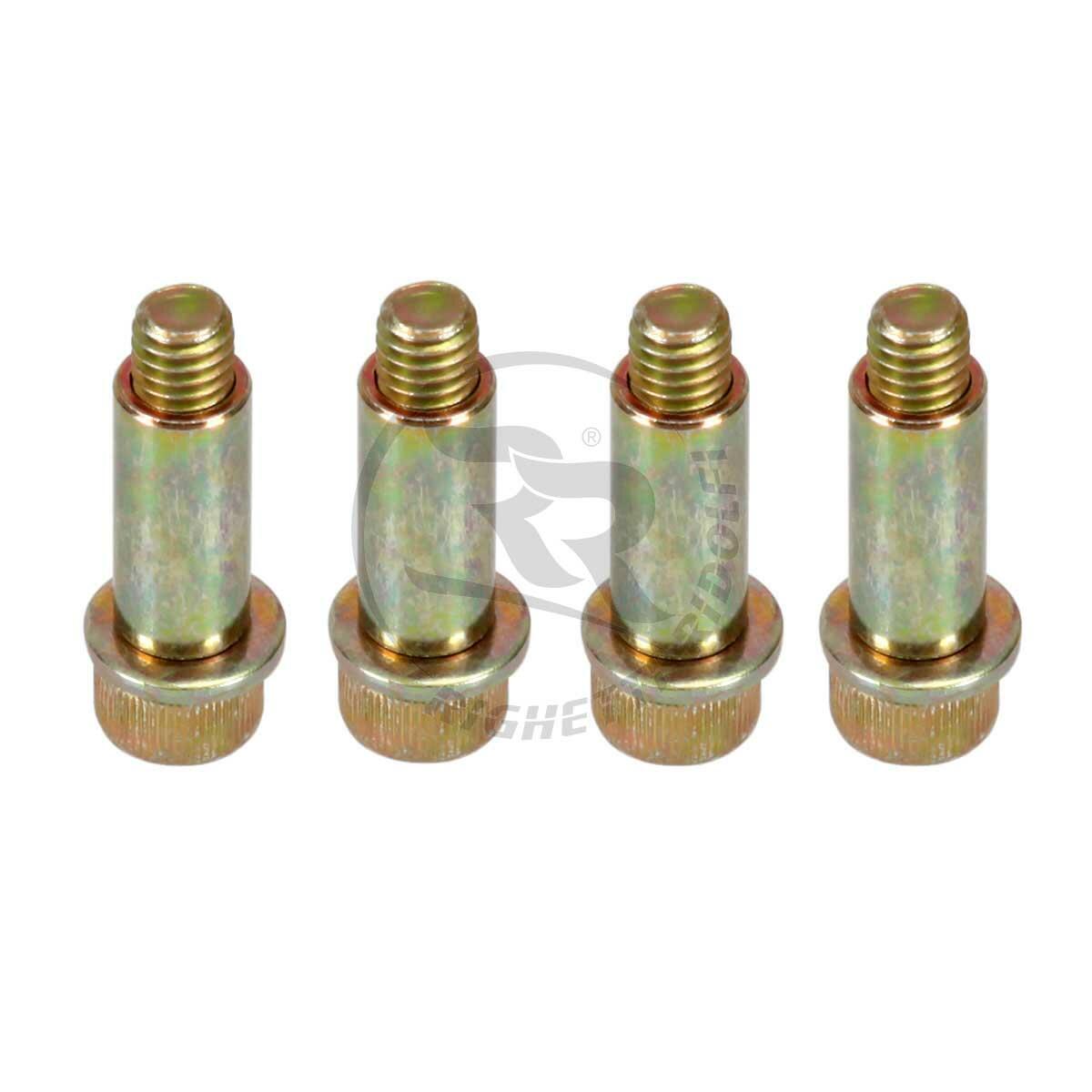 Screws kit for front brake pad Righetti e Ridolfi