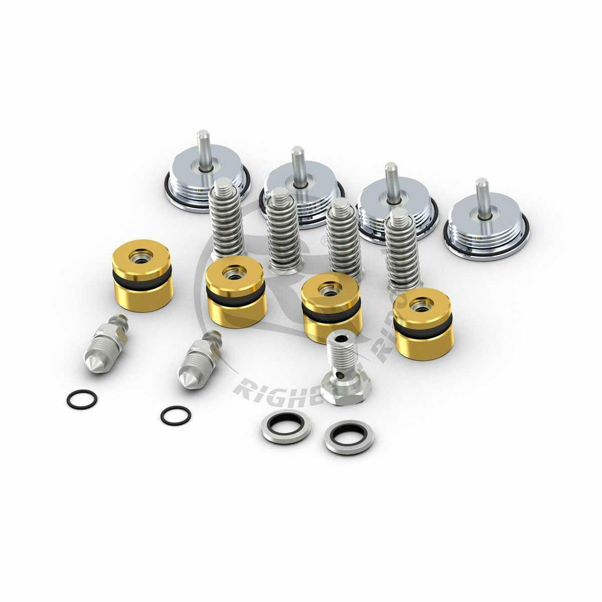 Rebuild Kit for Speed Evo front caliper Righetti e Ridolfi